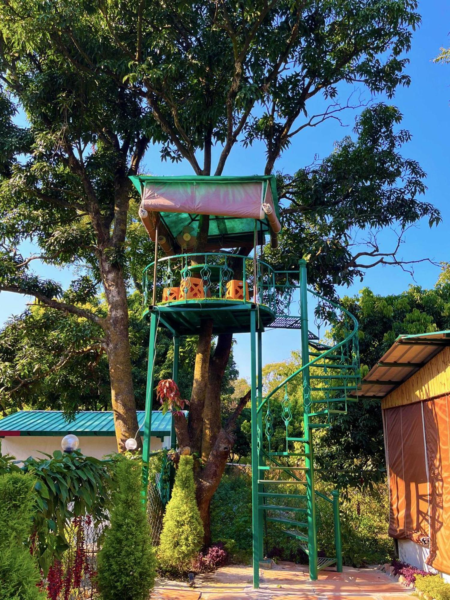 Hotel O Royal Tree Cafe And Resort 德拉敦 外观 照片